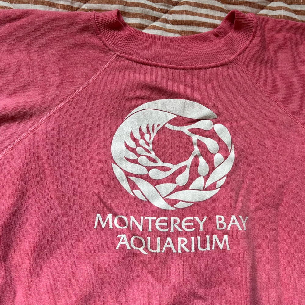 Vintage 80s Monterey Bay Aquarium Hanes 50/50 Raglan Sweatshirt